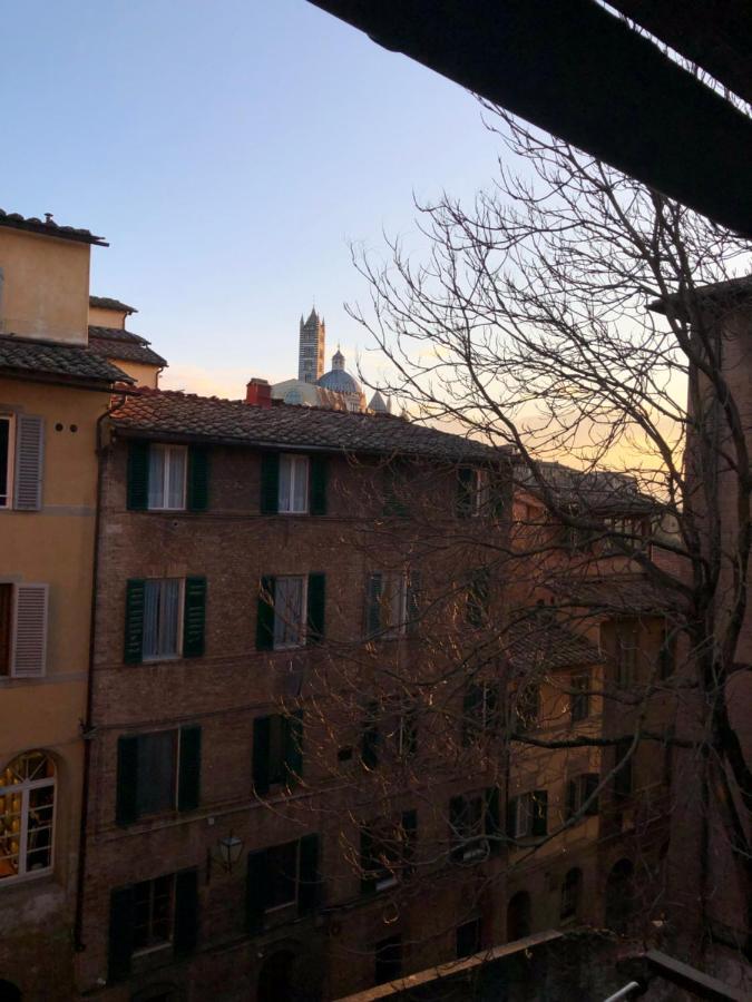 Teresa 91, Appartamento Incantevole Vista Duomo 시에나 외부 사진